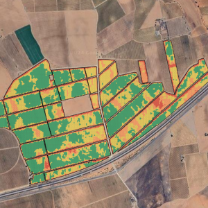 Captura de pantalla 2024-10-15 071813