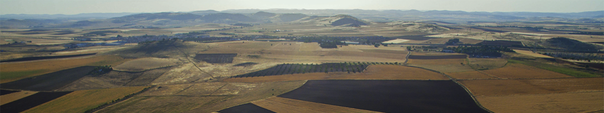 panorámica de tierras de cultivo