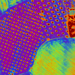 mapa de calor de un cultivo de viña